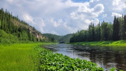 Скалы по р. Пижма